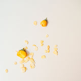 Calendula Calming Face Oil