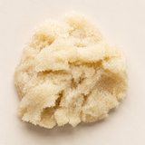 Lavender Lemongrass Exfoliating Sugar Scrub