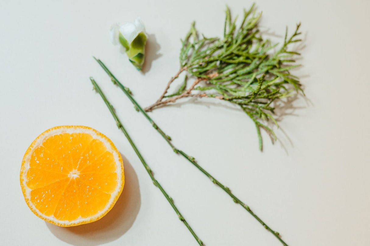Ziza Matte Body Oil | Cedar, Citrus & Vetiver
