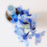 Lavender & Rosemary Hydrating Face Mist