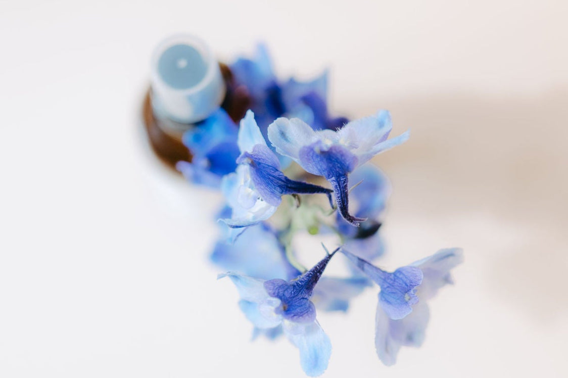 Lavender & Rosemary Hydrating Face Mist