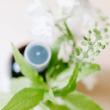 Neroli & Green Tea Hydrating Face Mist