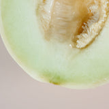 Honey Dew Barrier Boost Face Serum with Ceramides + Aloe Vera