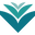 Verv Skin logo