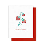 Assorted Letterpress Gift Cards | Handcrafted Locally